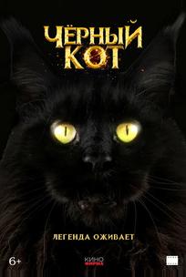 Черный кот