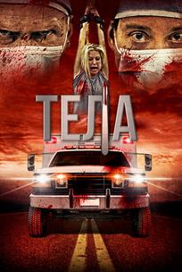 Тела