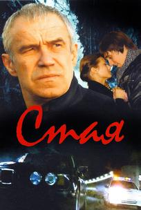 Стая
