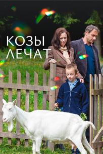 Козы лечат