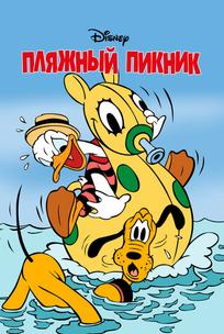 Пляжный пикник