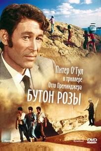 Бутон розы
