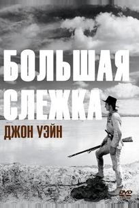 Большая слежка