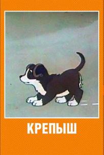 Крепыш