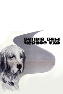 Белый Бим Черное ухо