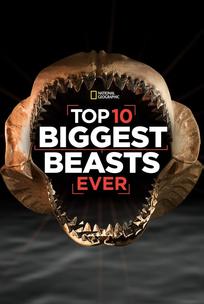 Топ-10 мегамонстров