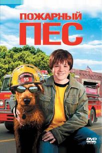 Пожарный пес
