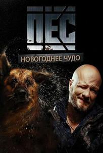 Пёс. Новогоднее чудо