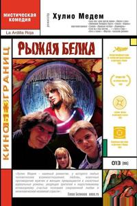 Рыжая белка