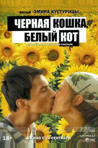 Черная кошка, белый кот
