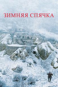 Зимняя спячка