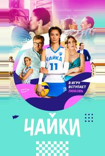 Чайки