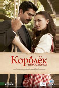 Королёк — птичка певчая