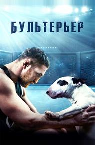 Бультерьер