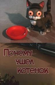 Почему ушел котенок